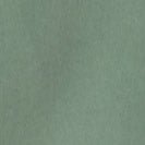 CARHARTT WIP - L/S Bolton Shirt - Park Garment Dyed - BACKYARD