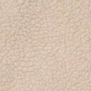 CARHARTT WIP - Women W' Janet Liner - Fleur De Sel Black - BACKYARD