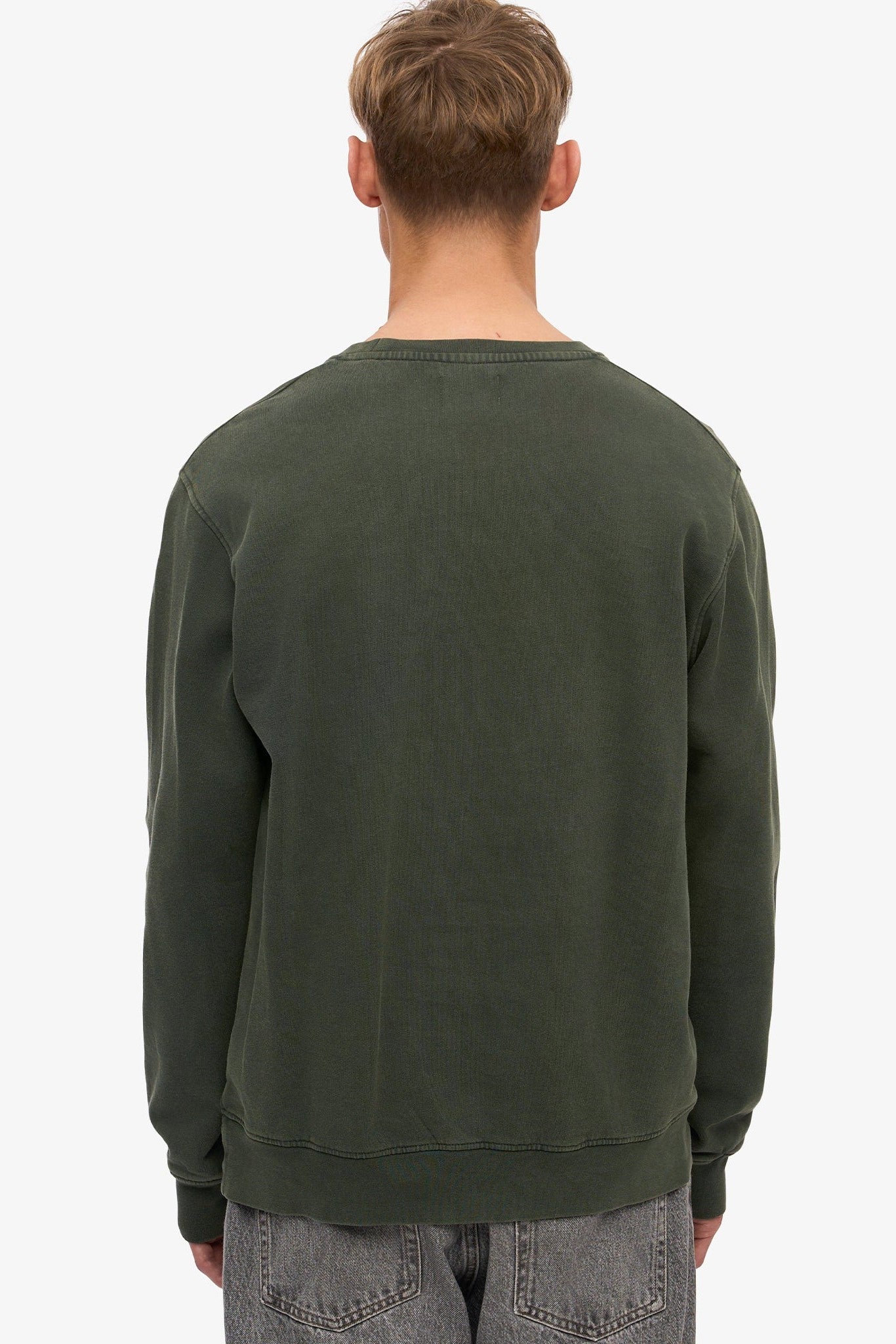 COLORFUL STANDARD - Classic Organic Crew - Midnight Forest - BACKYARD