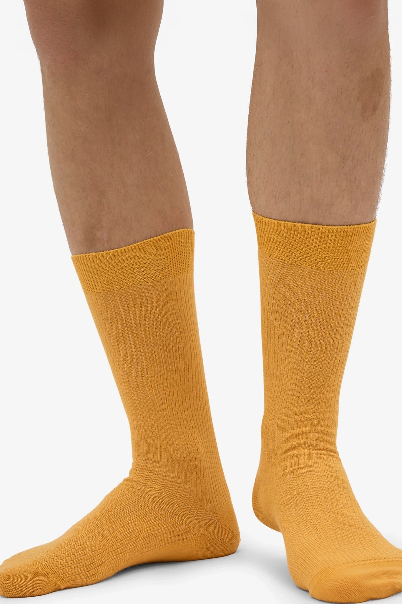 COLORFUL STANDARD - Classic Organic Sock - Burned Yellow - BACKYARD
