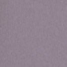 COLORFUL STANDARD - Classic Organic Zip Hood - Purple Haze - BACKYARD