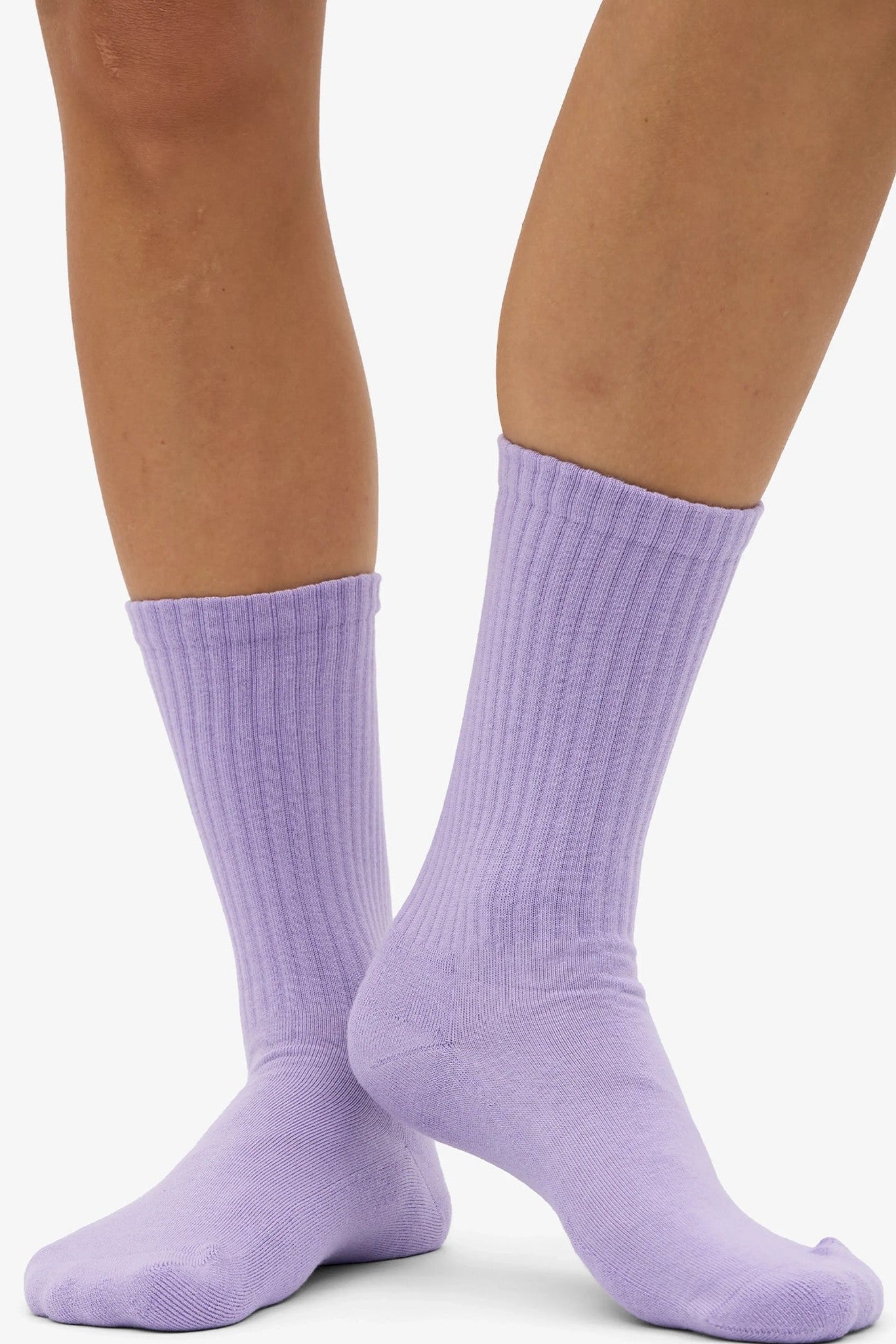 COLORFUL STANDARD - Organic Active Sock - Soft Lavender - BACKYARD