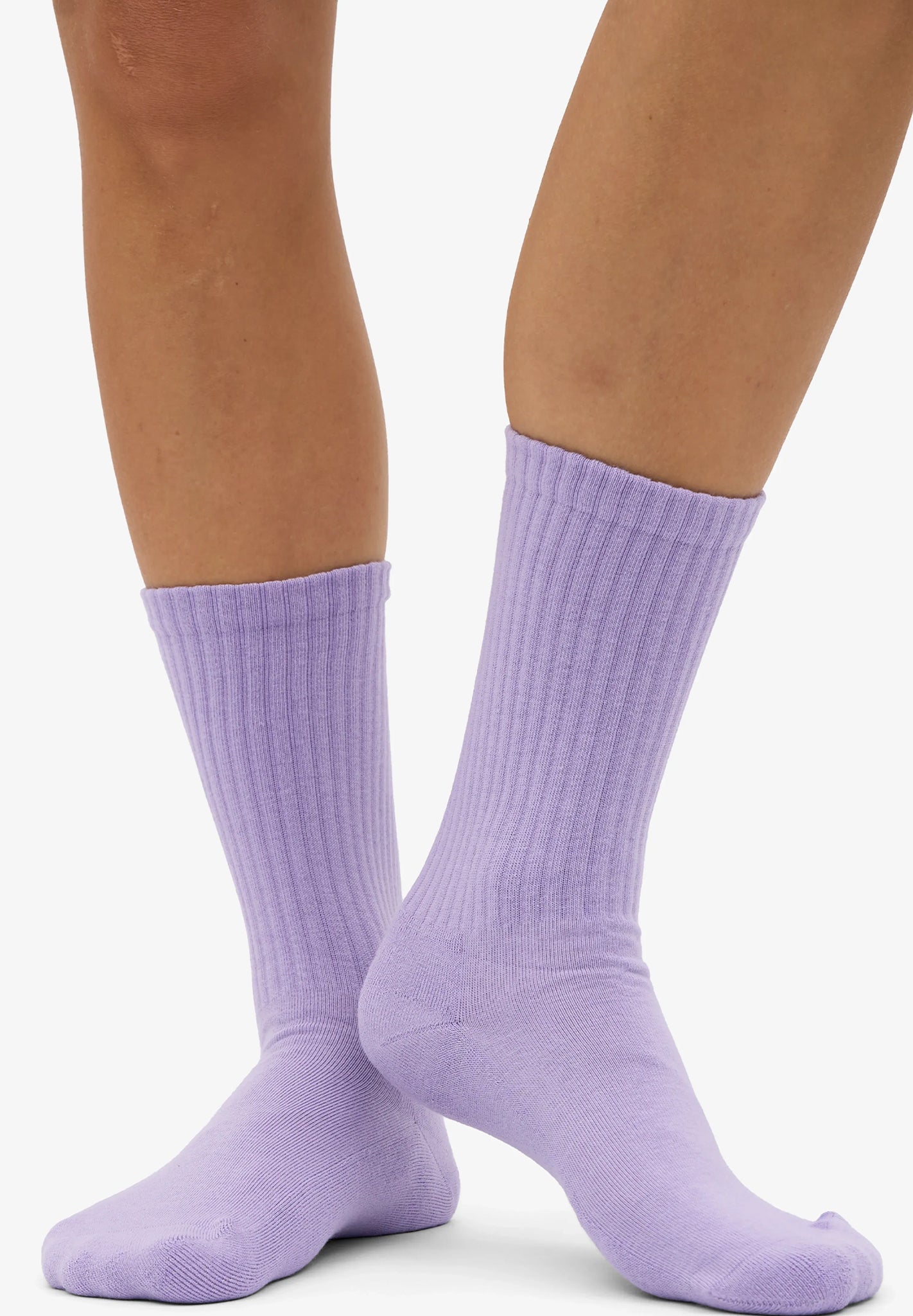COLORFUL STANDARD - Organic Active Sock - Soft Lavender - BACKYARD
