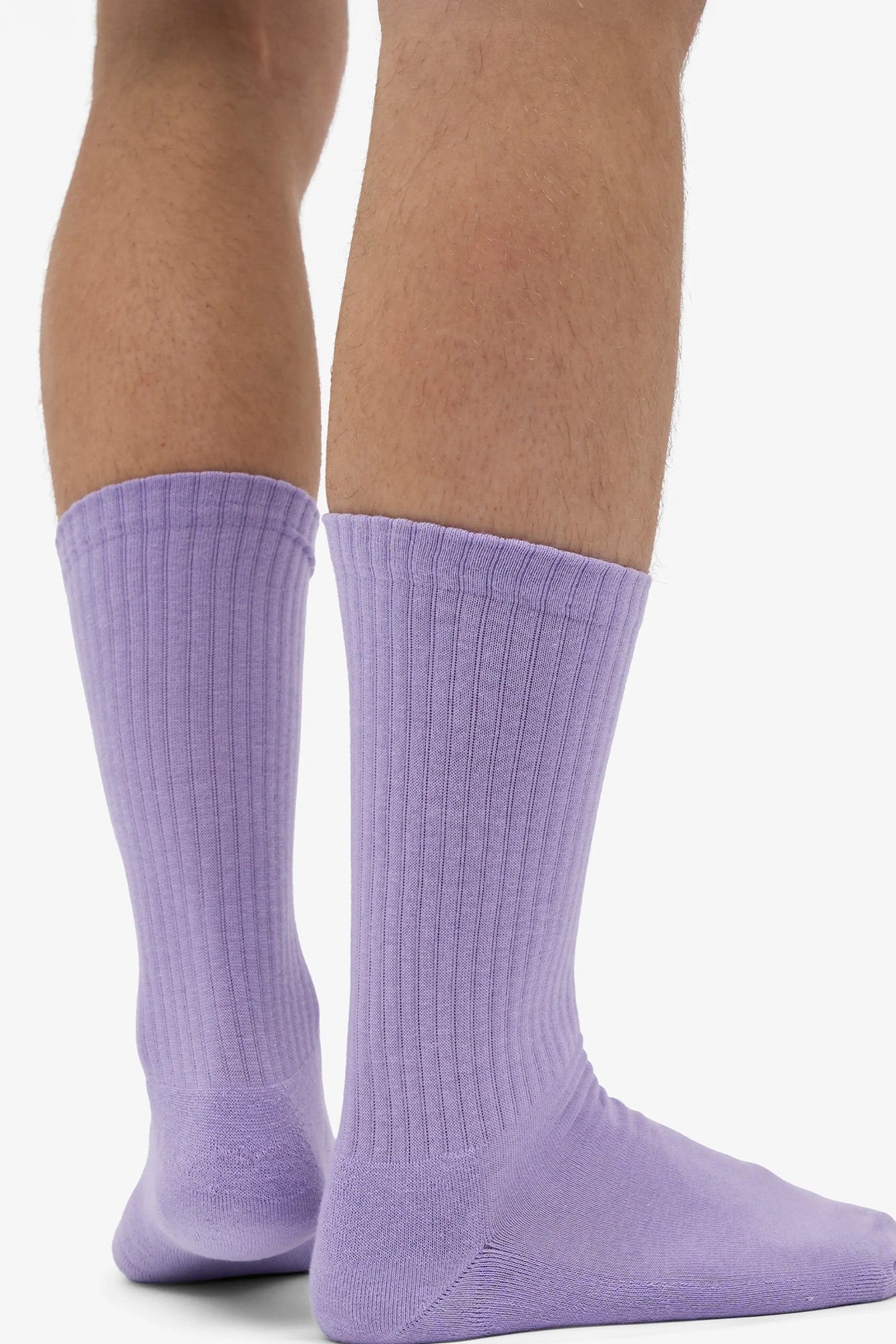 COLORFUL STANDARD - Organic Active Sock - Soft Lavender - BACKYARD