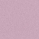 COLORFUL STANDARD - Organic Oversized Crew - Pearly Purple - BACKYARD