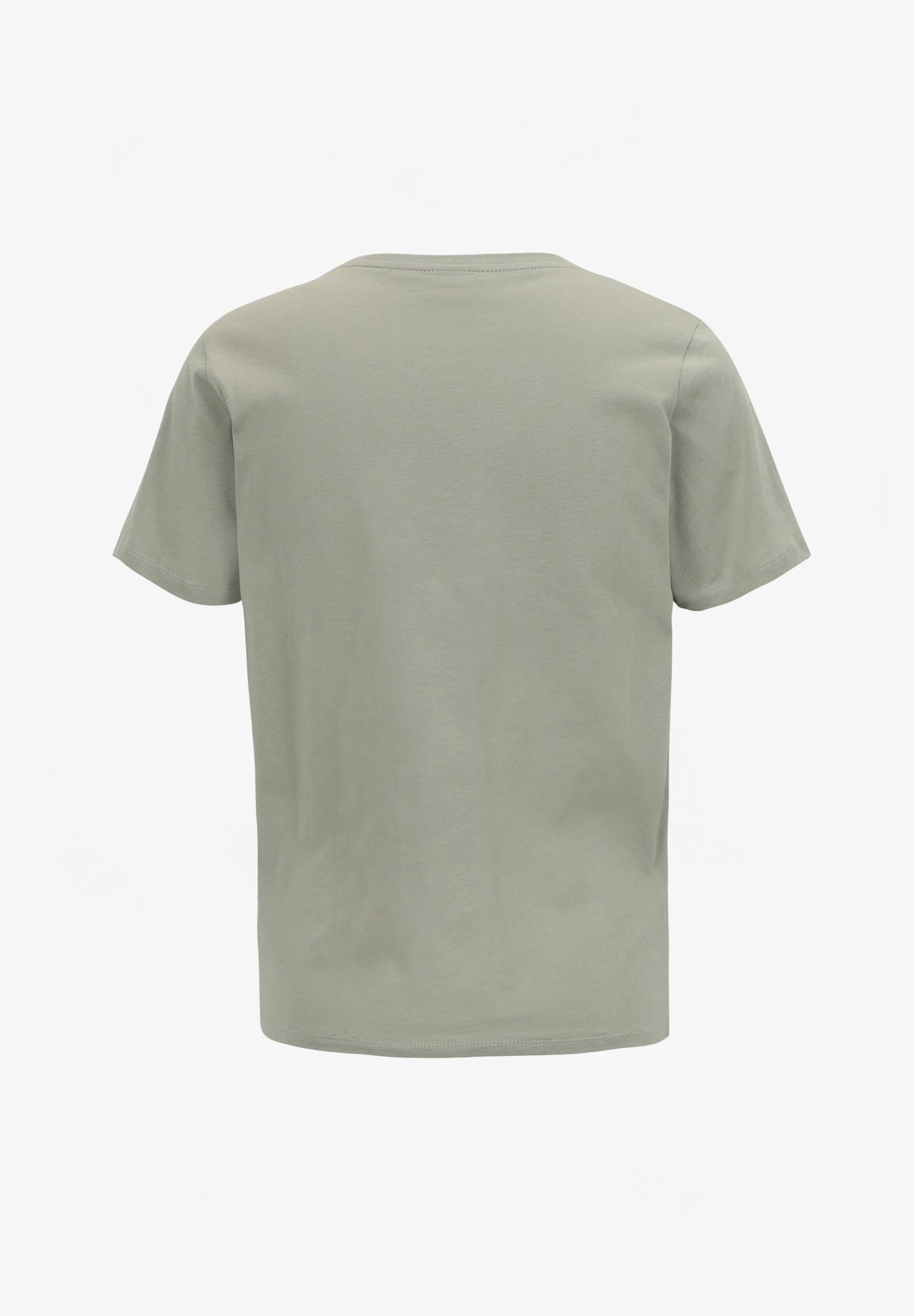 IRIEDAILY - Peacy Ride Tee - Lint - BACKYARD