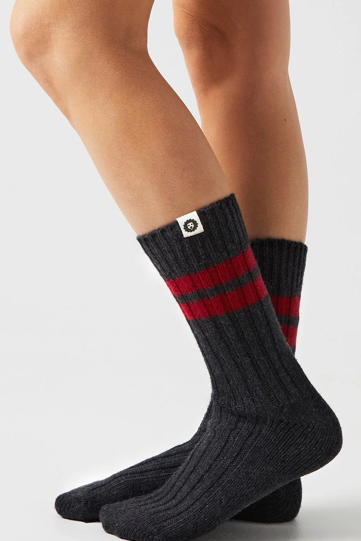 JIMMY LION - Premium Winter Rec - Dark Gray - BACKYARD