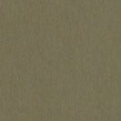 KNOWLEDGE COTTON-Chuck Regular Chino Poplin Shorts-Burned Olive-BACKYARD