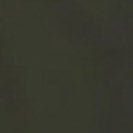 KNOWLEDGE COTTON - Chuck Regular Chino Twill Pants - Forest Night - BACKYARD