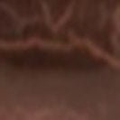 KOMONO - Bobby - Rose Viper - BACKYARD