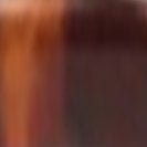 KOMONO - Devon - Tortoise - BACKYARD