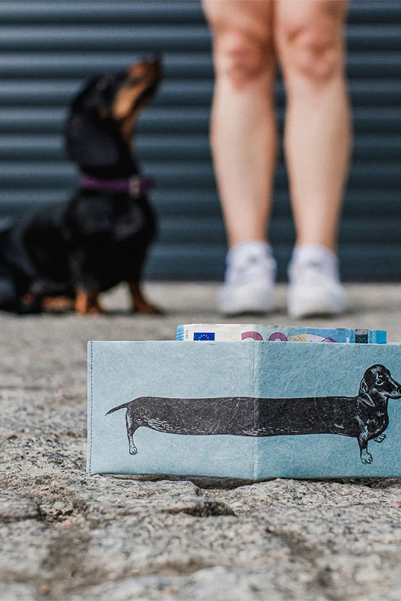 PAPRCUTS - RFID Portemonnaie - Sausage Dog - BACKYARD
