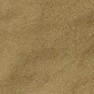 PASSENGER - Adventurer Organic Canvas Trouser - Dark Olive - BACKYARD