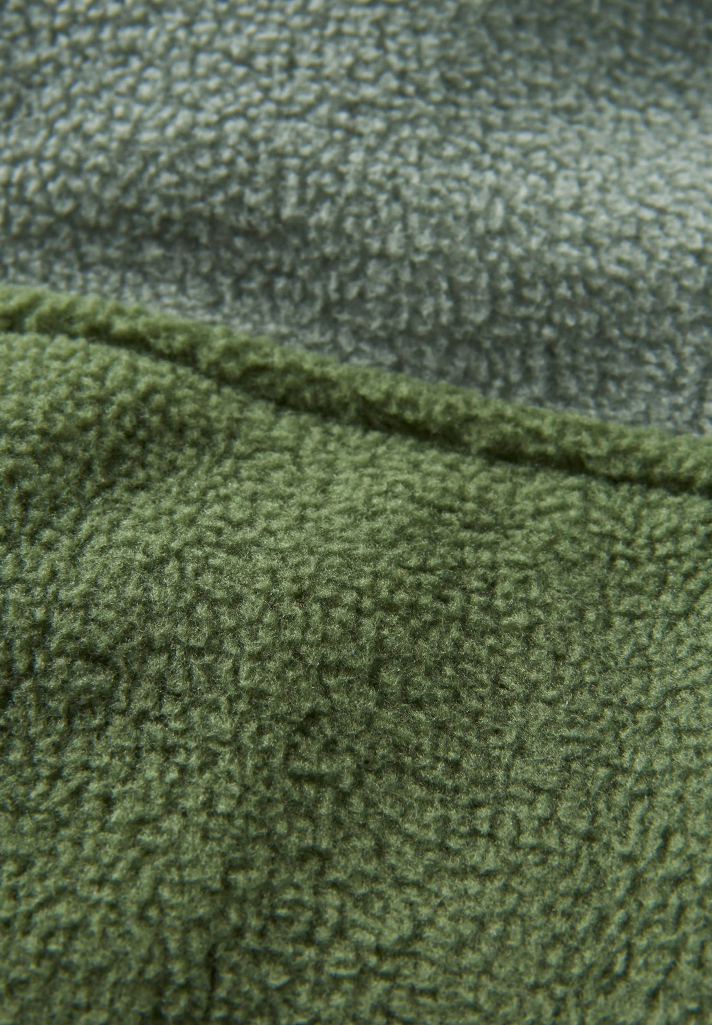 PASSENGER - Caspian Full Zip Recycled Polar Fleece - Wild Green - BACKYARD