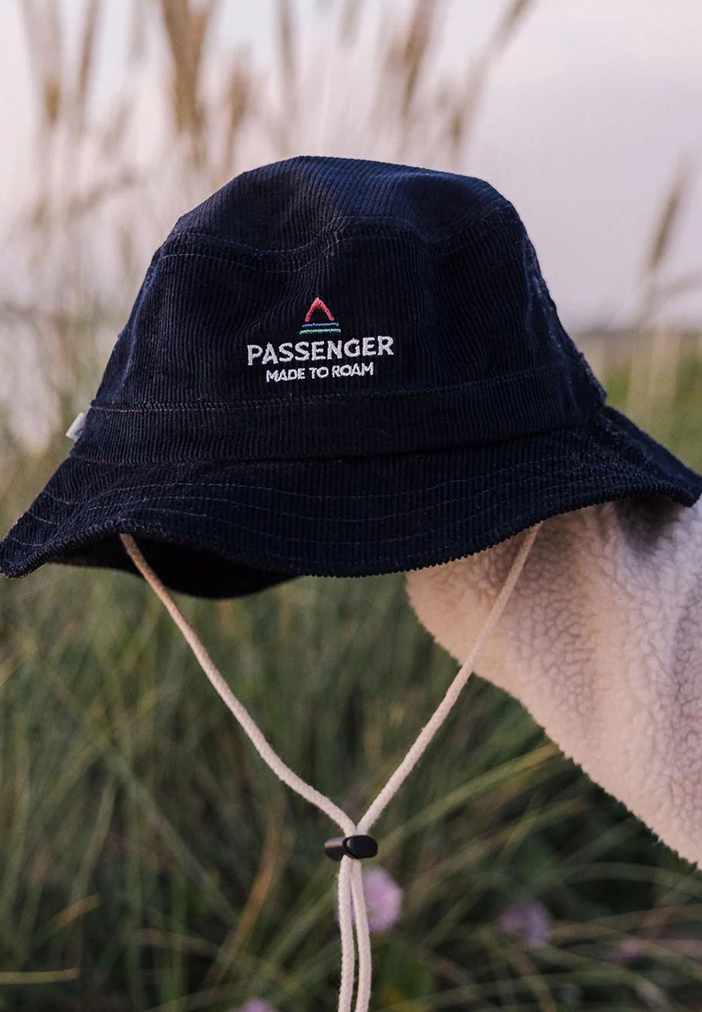 PASSENGER - Forest Hat - Deep Navy - BACKYARD