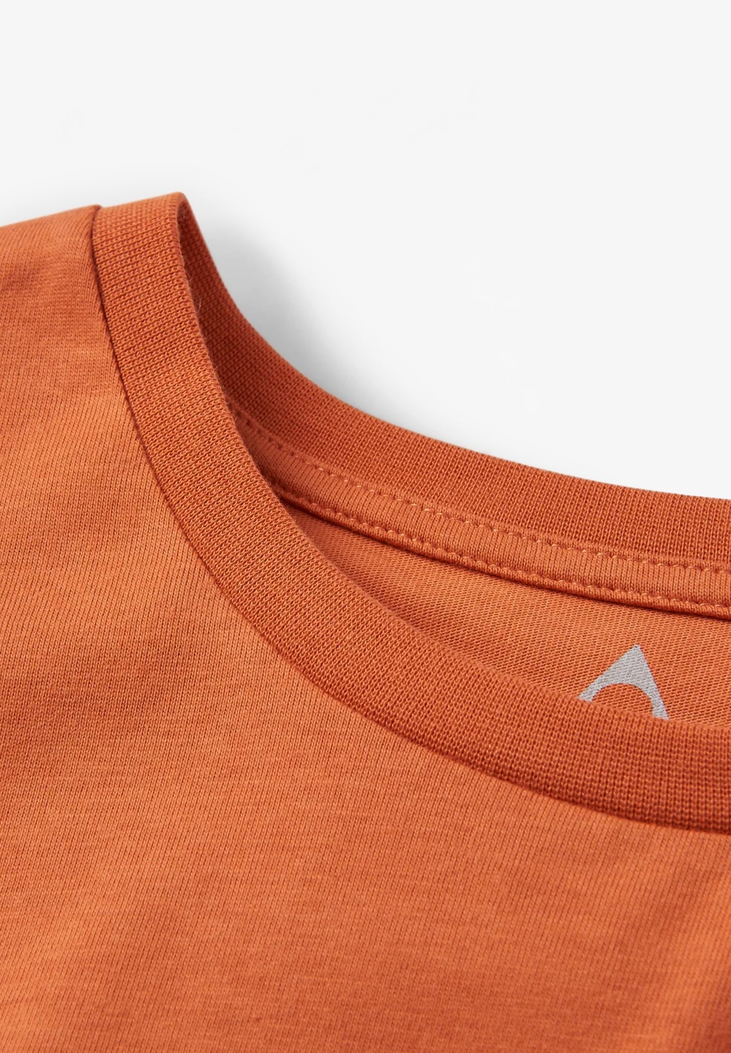 PASSENGER - Phoenix Organic Cotton T-Shirt - Burnt Orange - BACKYARD