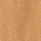 PATAGONIA - Men's Boardshort Logo Uprisal Hoody - Talon Gold - BACKYARD