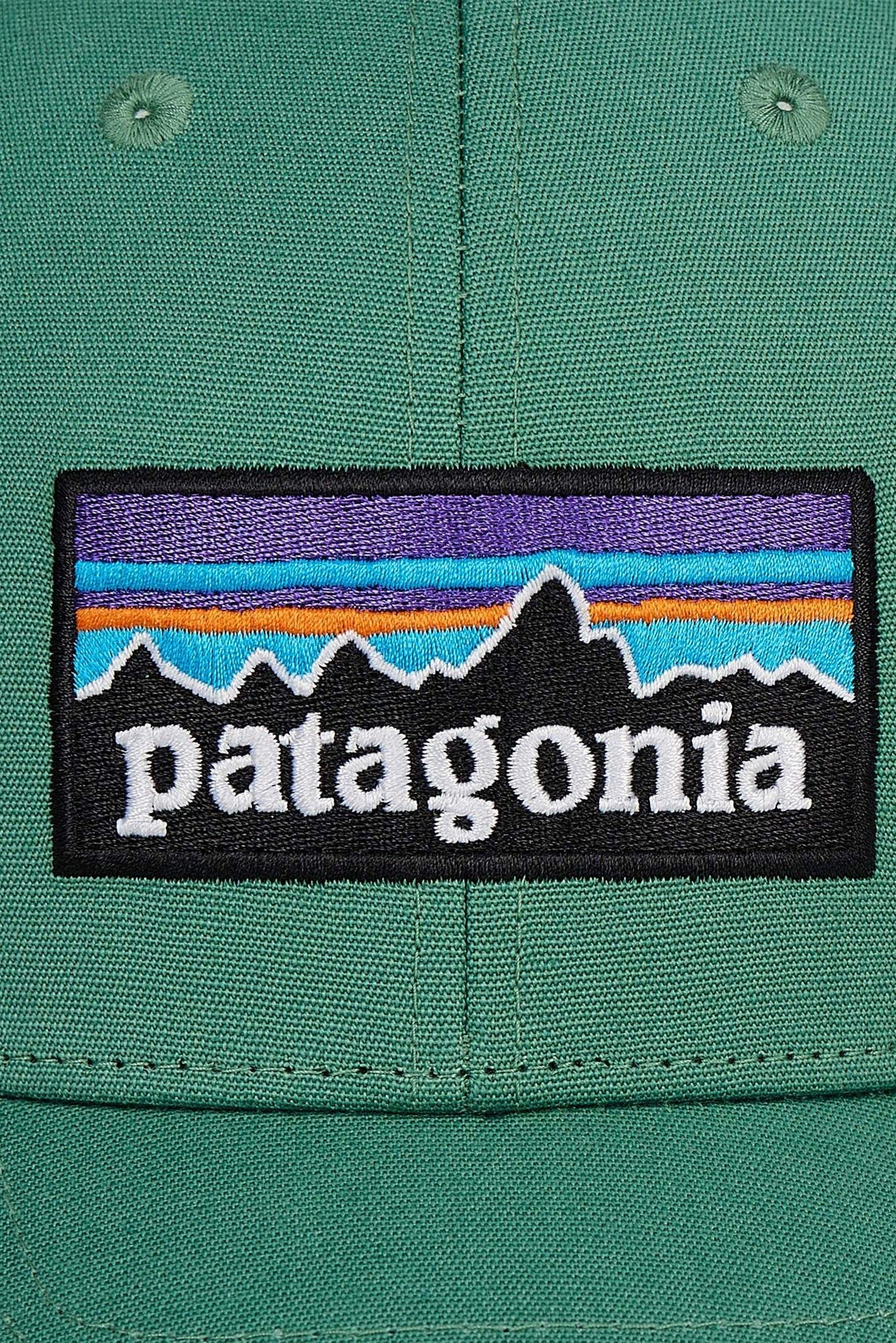 PATAGONIA - P - 6 Logo LoPro Trucker Hat - Heartleaf Green - BACKYARD