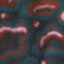 PATAGONIA - Women's Synchilla® Fleece Jacket - Soft Spirea: Dried Vanilla - BACKYARD