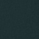 RECOLUTION - Agave Smiley - Deep Green - BACKYARD