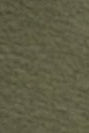 RECOLUTION - Althenia - Dark Khaki - BACKYARD