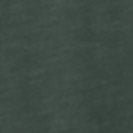 RECOLUTION - Bay Bike - Eukalyptus - BACKYARD