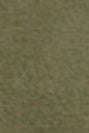 RECOLUTION - Caimito - Dark Khaki - BACKYARD