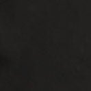 RECOLUTION - Calathea - Black - BACKYARD