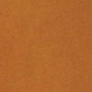 SESSUN - Isi - Gazelle - BACKYARD