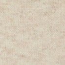 SESSUN - Silty - Calcaire - BACKYARD