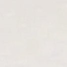 SESSUN - Simeon Tee - Optical White - BACKYARD