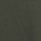 ARMEDANGELS - Jaames - Forest Pine - BACKYARD