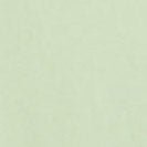 ARMEDANGELS - Jaames - Green Ash - BACKYARD