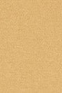 BASK IN THE SUN - Mini To The Sea Sweat - Coffee - BACKYARD