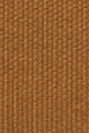 CARHARTT WIP - Alec Wallet - Hamilton Brown - BACKYARD