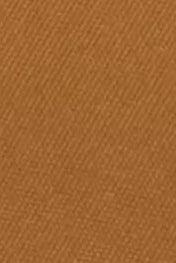 CARHARTT WIP - Cooler Bag - Hamilton Brown - BACKYARD