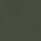 CARHARTT WIP - Women W' Barnett Jacket - Opuntia - BACKYARD