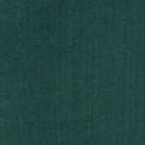 CARHARTT WIP - Women W' Hooded Casey Sweatshirt - Dark Fir Silver - BACKYARD