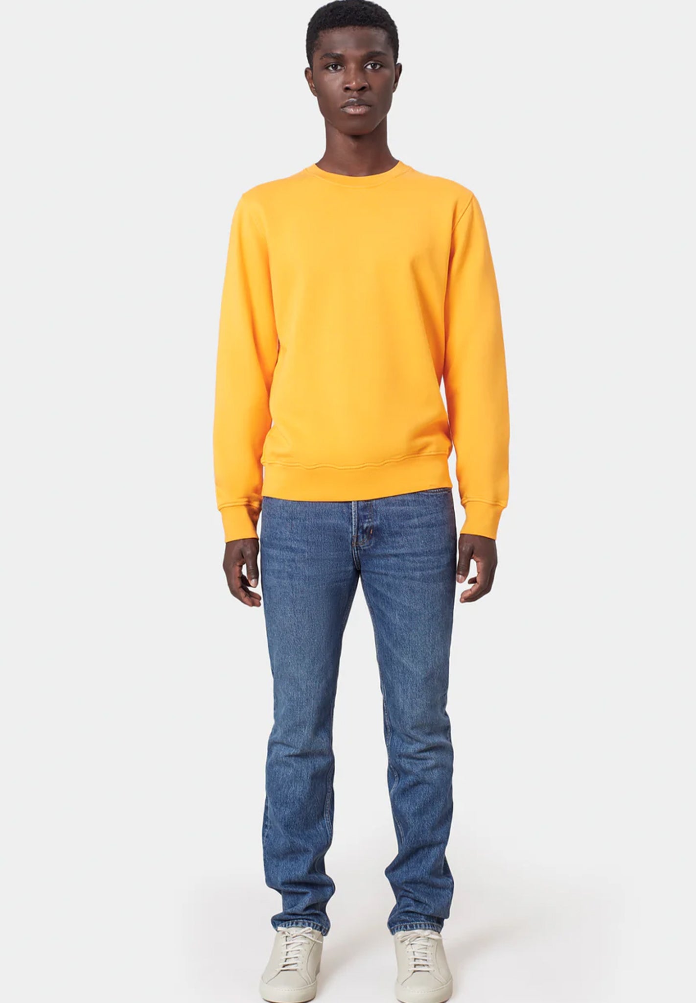 COLORFUL STANDARD - Classic Organic Crew - Purple Haze - BACKYARD