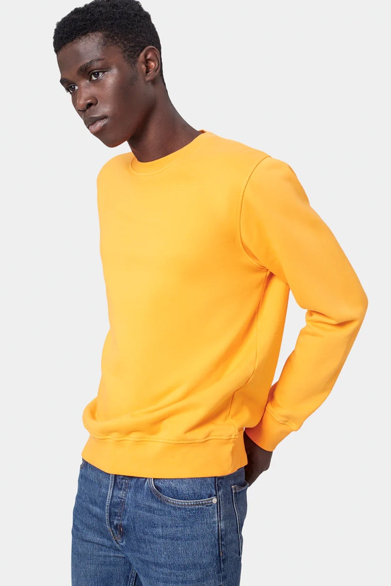 COLORFUL STANDARD - Classic Organic Crew - Purple Haze - BACKYARD