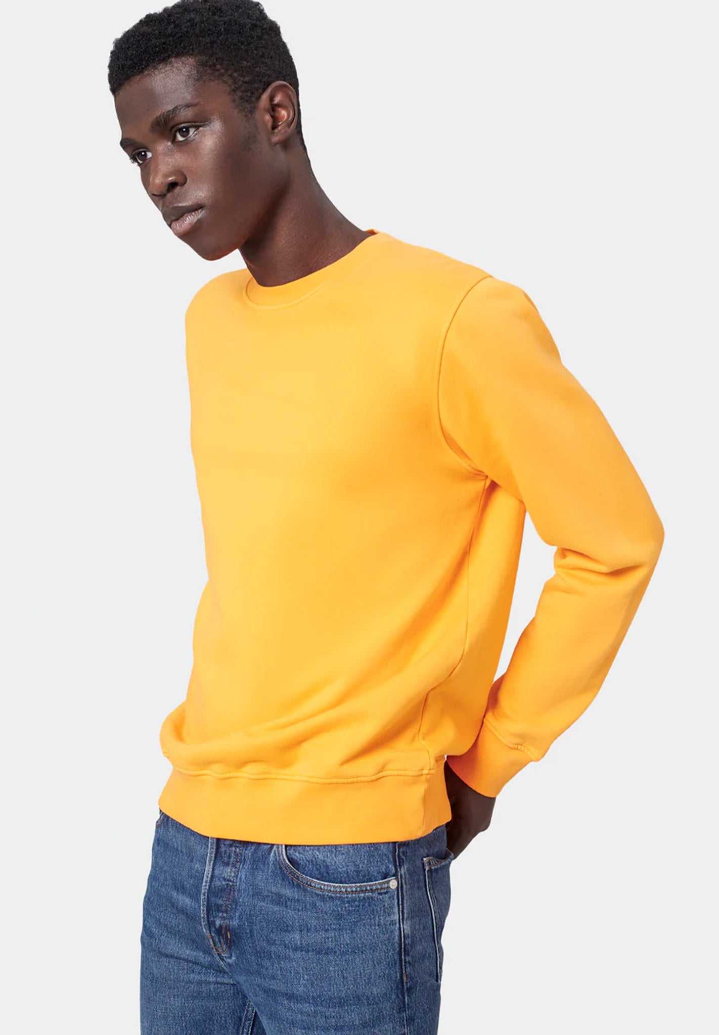 COLORFUL STANDARD - Classic Organic Crew - Purple Haze - BACKYARD