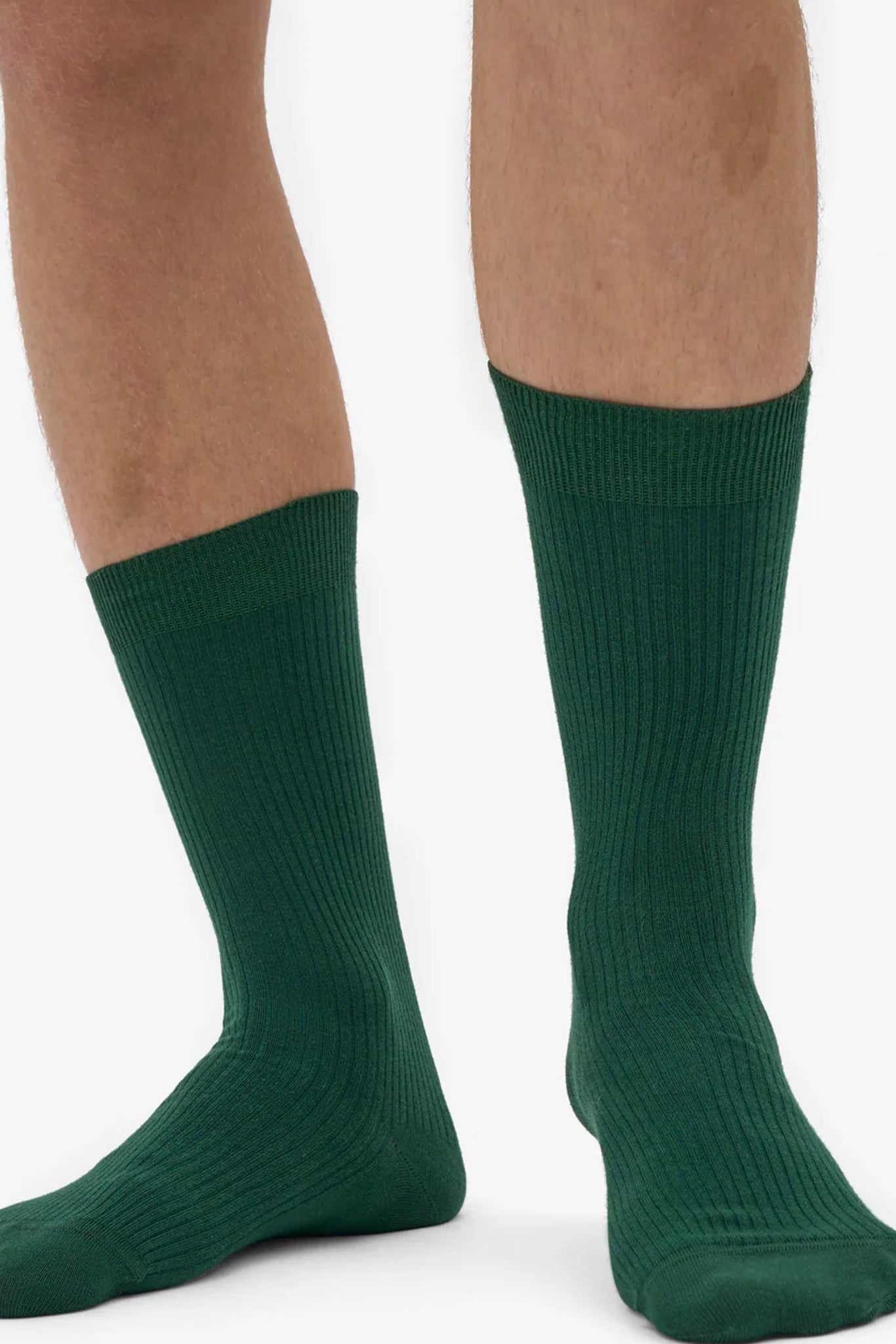 COLORFUL STANDARD - Classic Organic Sock - Emerald Green - BACKYARD