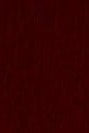 COLORFUL STANDARD - Classic Organic Sock - Oxblood Red - BACKYARD