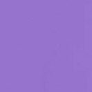 COLORFUL STANDARD - Classic Organic Tee - Ultra Violet - BACKYARD