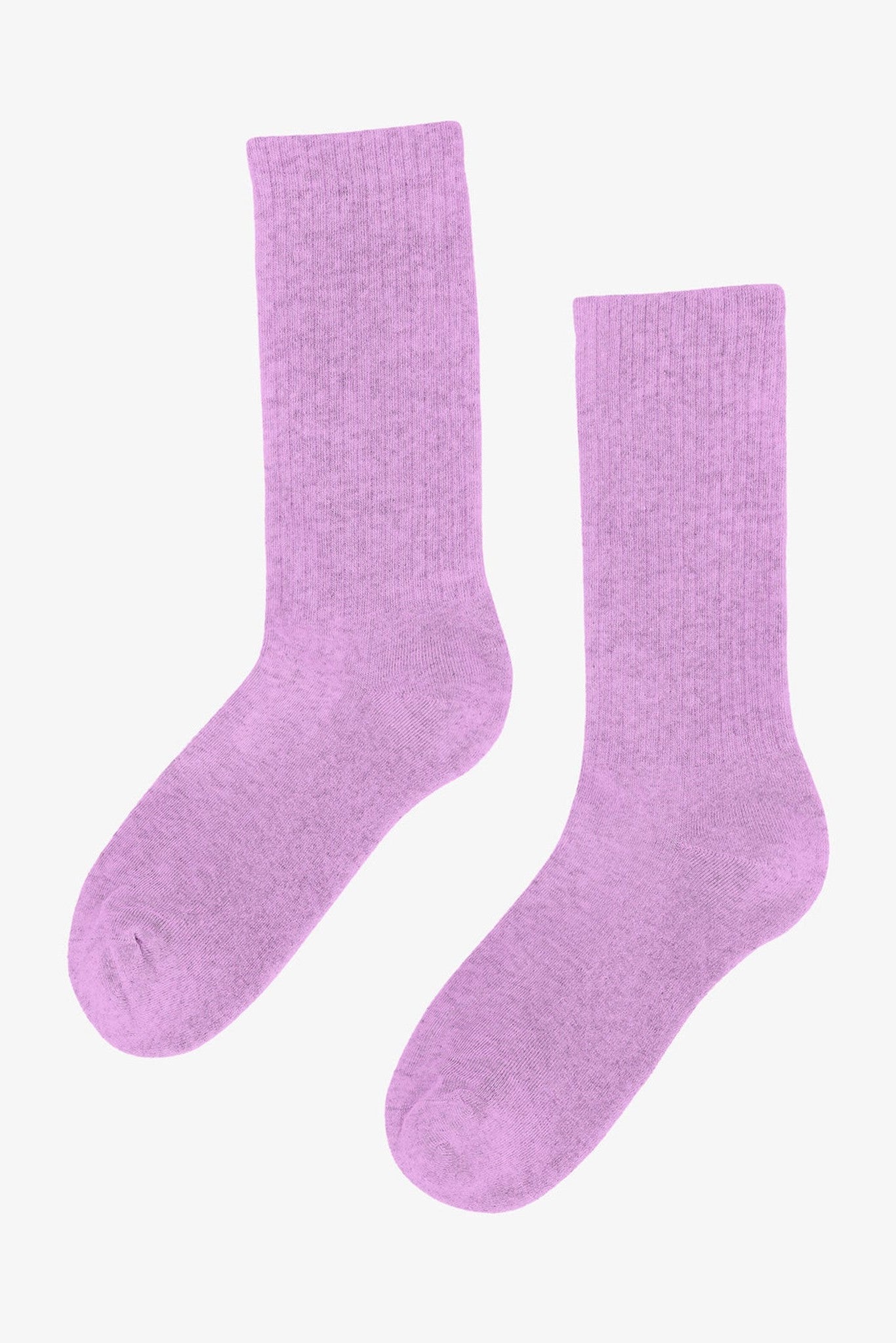 COLORFUL STANDARD - Organic Active Sock - Cherry Blossom - BACKYARD