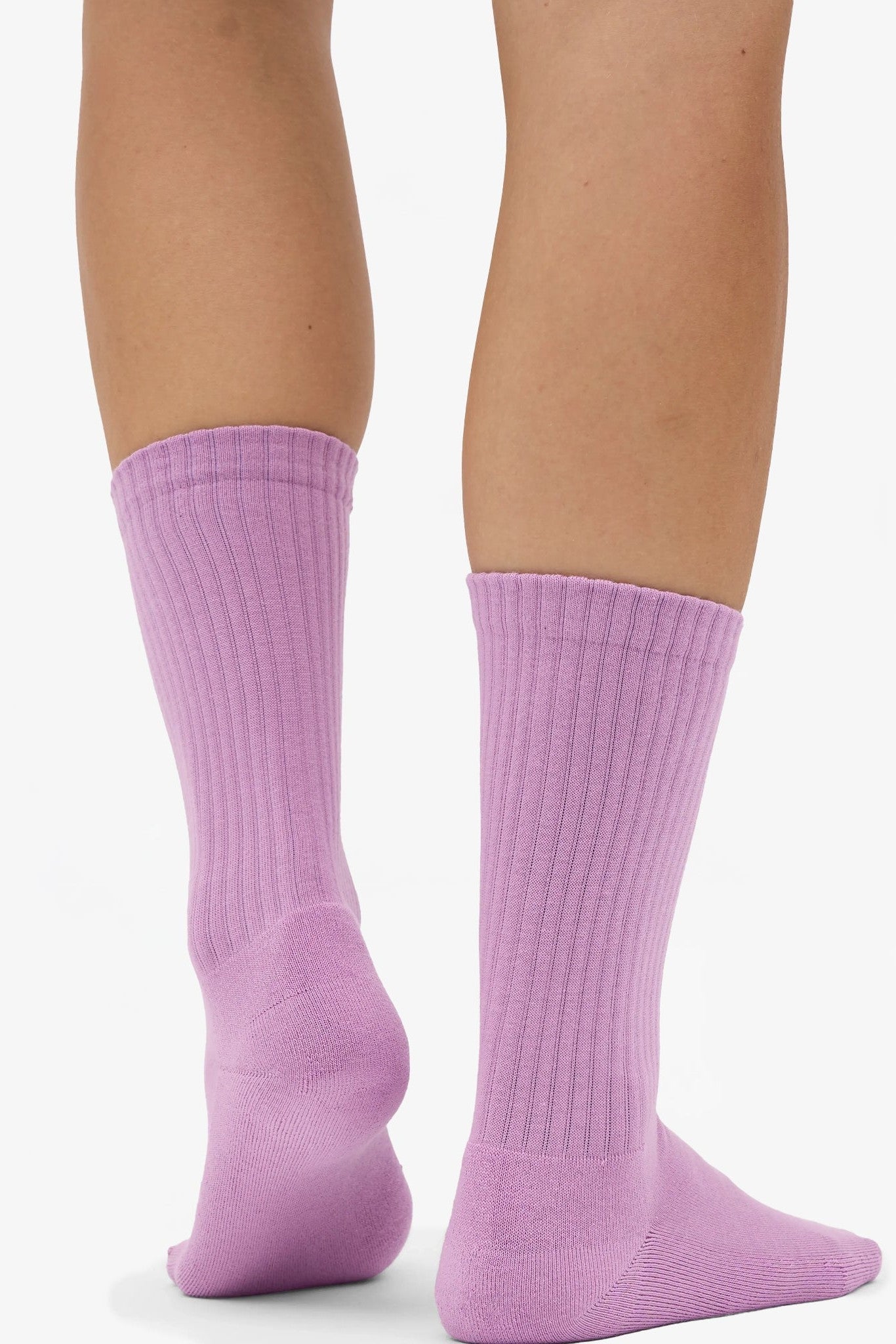 COLORFUL STANDARD - Organic Active Sock - Cherry Blossom - BACKYARD