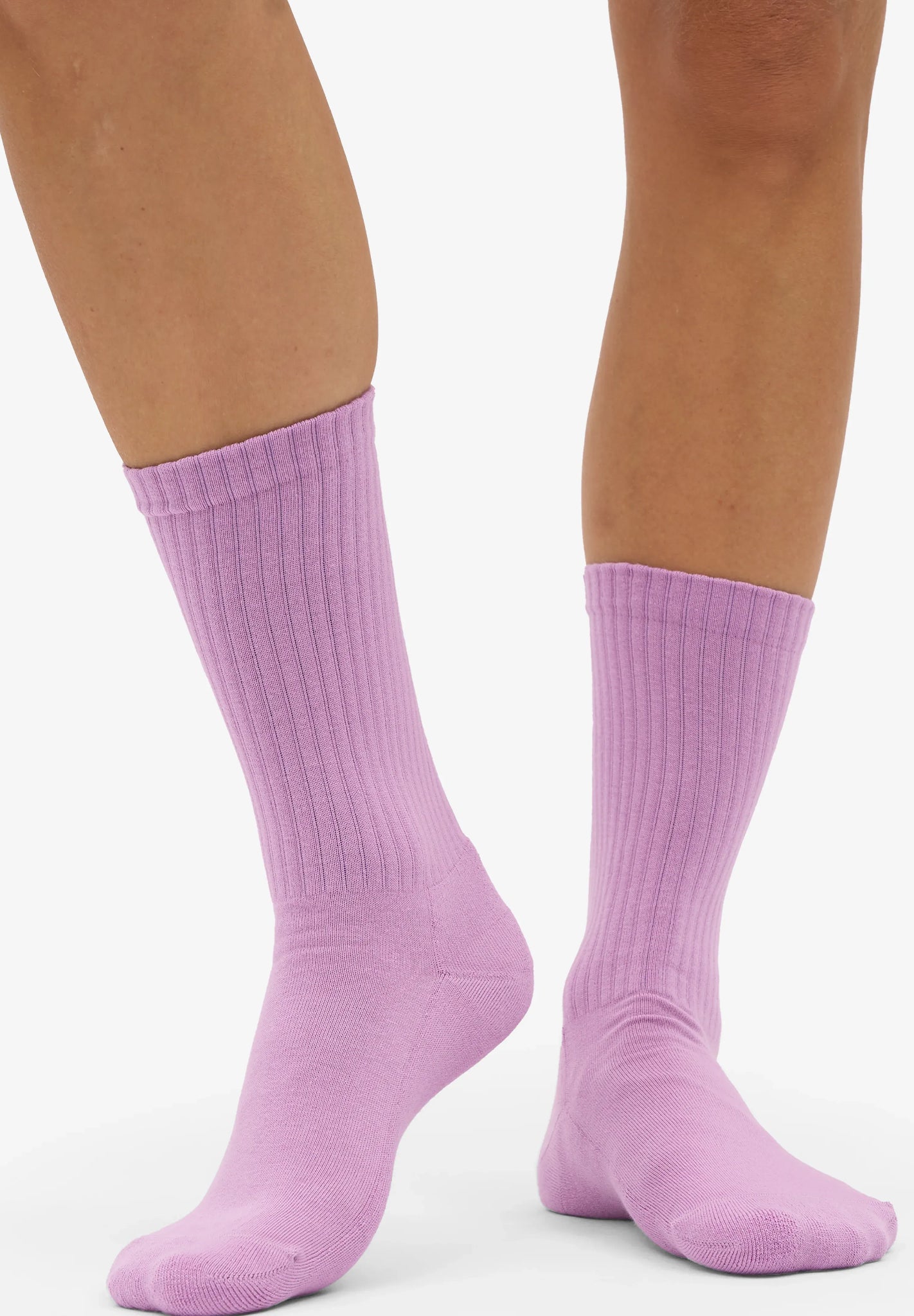 COLORFUL STANDARD - Organic Active Sock - Cherry Blossom - BACKYARD