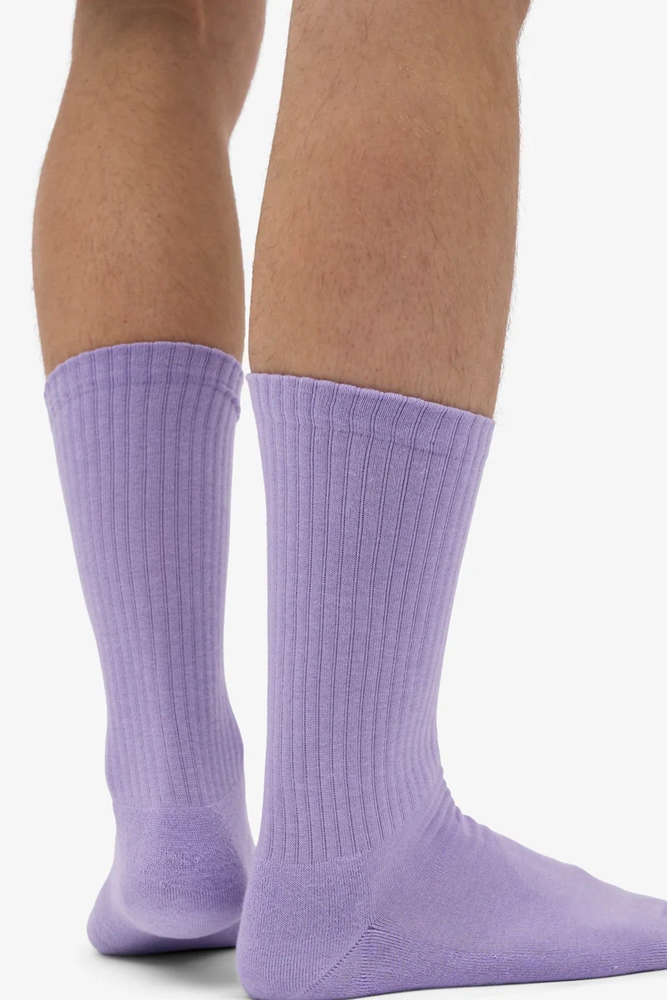 COLORFUL STANDARD - Organic Active Sock - Soft Lavender - BACKYARD