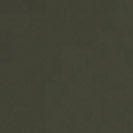 COLORFUL STANDARD - Organic Button Down Shirt - Hunter Green - BACKYARD