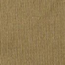 COLORFUL STANDARD - Organic Cotton Cap - Desert Khaki - BACKYARD